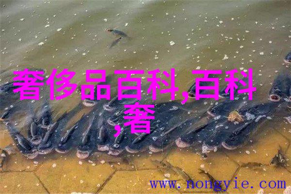 家里没人儿子就弄我了的说说我是老三在空巢时代的无奈与尝试