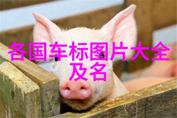 七零之辣妈当家桃花露-红尘岁月中的女强人与温柔香气