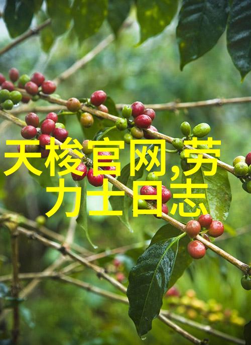 时尚潮流女发型追逐风格前沿的秀发艺术