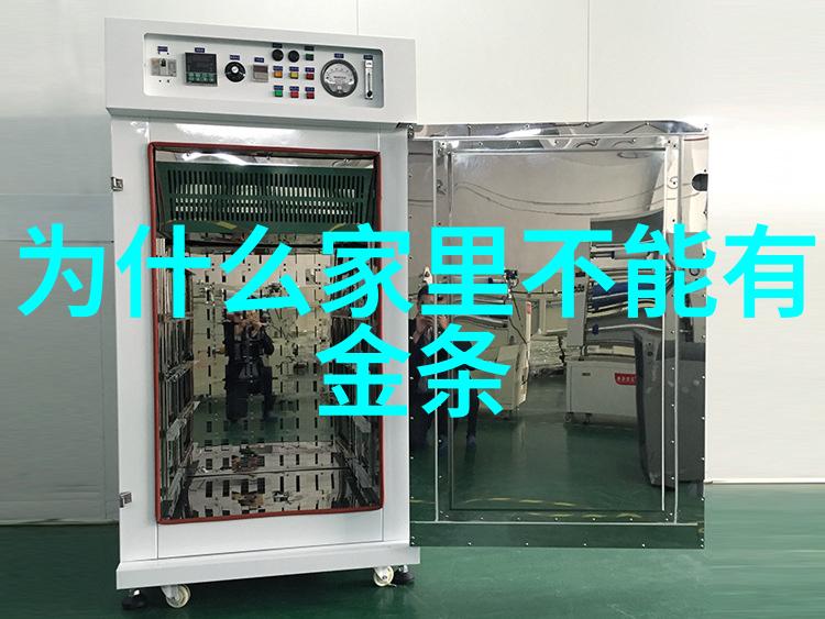 寂灭天骄txt下载我是如何在网络小说世界中成为最强者然后选择销毁一切的