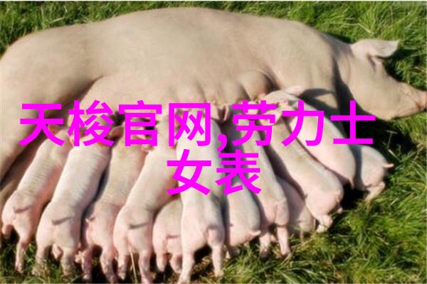 潮男服装搭配技巧 - 创意时尚如何打造独一无二的街头风格