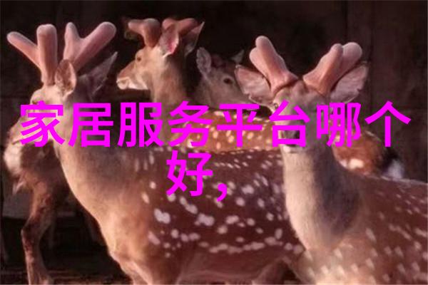 时尚界的盛宴各种衣服的图片大全时尚服饰展示