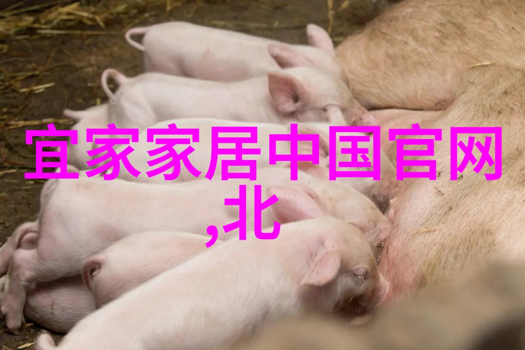 老式米桶过时了新型米桶来袭无接触取米杜绝米虫滋生