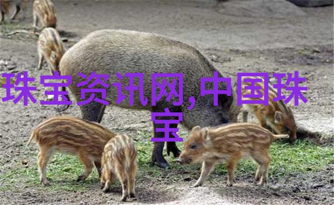男生时尚穿搭技巧打造完美的衣物搭配