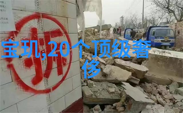 下厨房金银花的秘密揭开免费全文的奇妙世界