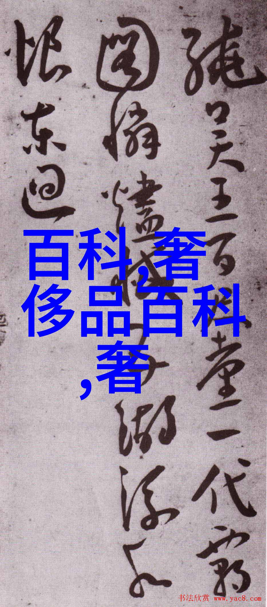 时尚未来2023年最新款发型女