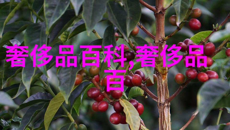 我的西装故事从第一次尝试到成熟的选择