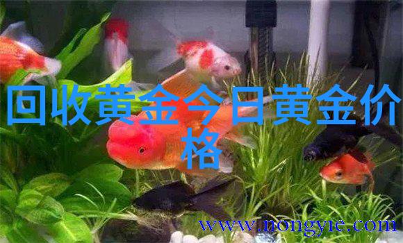 转型升級你是否准备好加入超前意识下的高端理髮课程