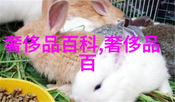 春风拂面下的轻纱梦
