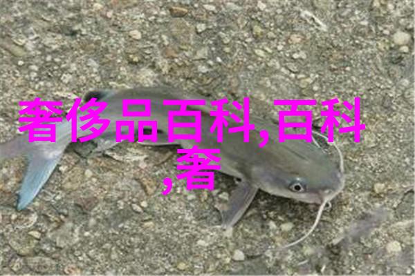男士最新时尚短发造型简约精致男孩形象