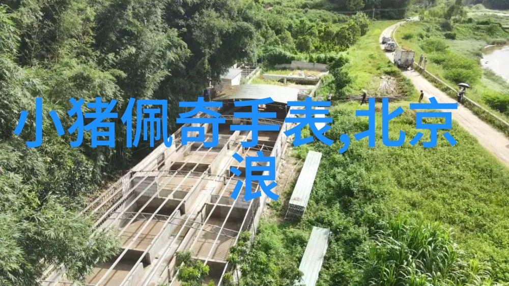 今年流行这几款拖鞋又便宜又好看