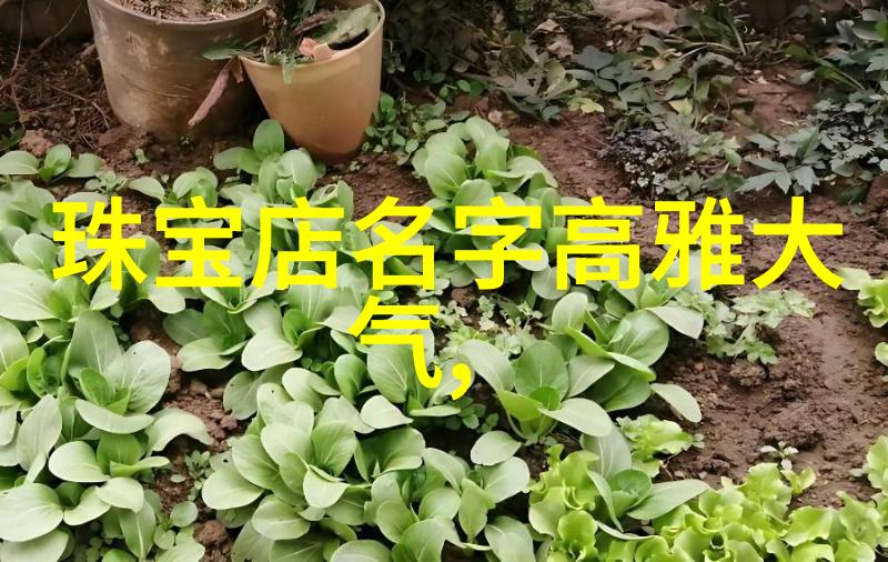 长恨歌txt我的情深似海的故事