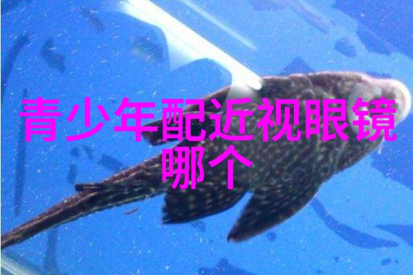 香水保质期探秘芳华永恒的迷局