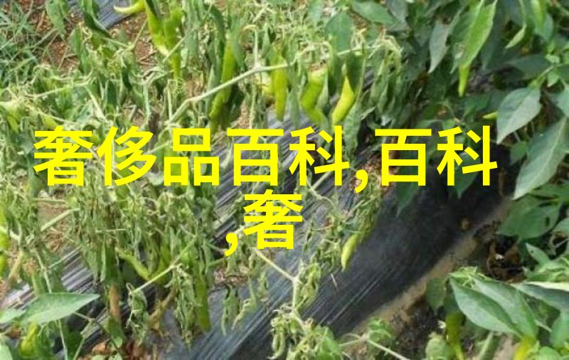 男人的装扮不仅仅是外表的修饰