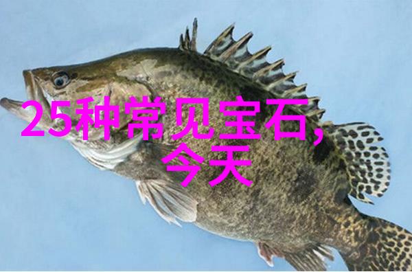 杨九郎老婆大闹德云社原因我亲眼见到杨九郎老婆为什么在德云社大闹