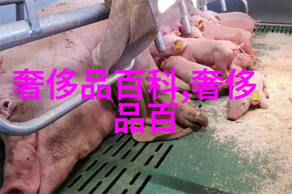 account.xiaomi.com用户指南快速解决常见问题和故障排除技巧
