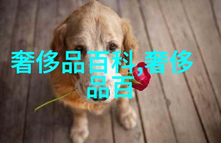 北北北砂镜的欢迎会一场穿越时空的奇遇