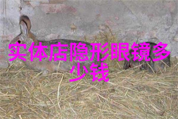 湮蓝之潮波涛中的追梦者