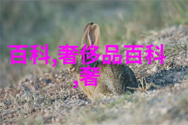 深夜的守望2am的孤独和宁静