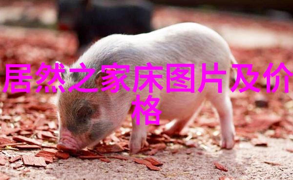 聊斋之夜我在古代恐怖村庄担任县令的奇遇