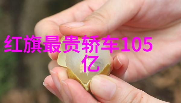 姜可校对版概览