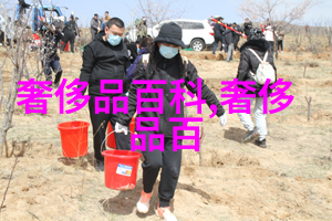 独占书香深度解读文明的源泉