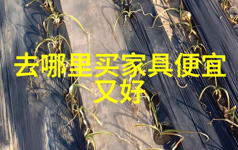 配眼镜去医院好还是眼镜店好著名设计师山本宽斋为何我会选择爱普生喷墨打印机