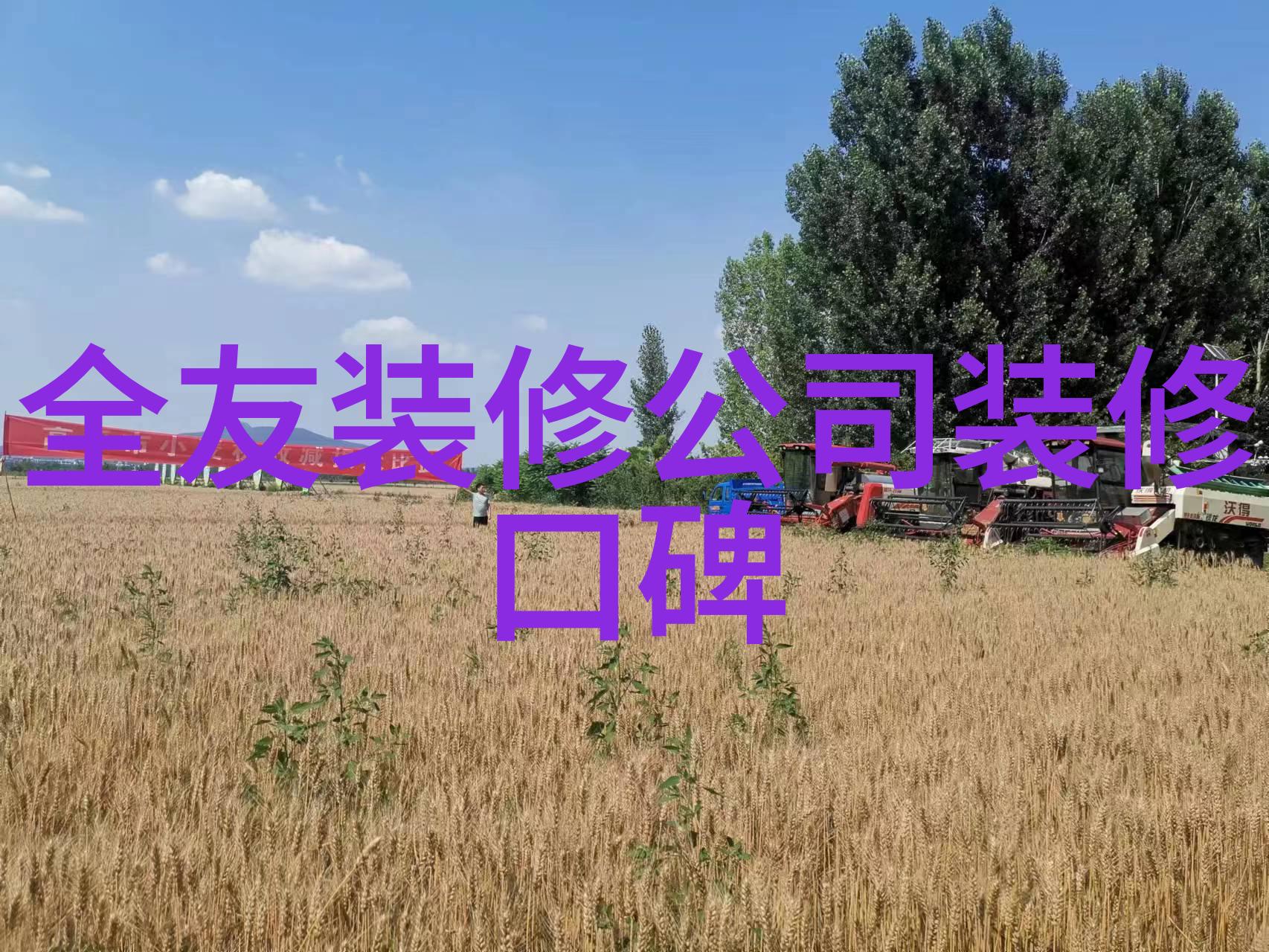 家有空地别浪费种上这些植物一年四季美不胜收