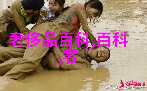 西方最大但人文艺术视频-探索西方最具影响力的文化艺术视频作品