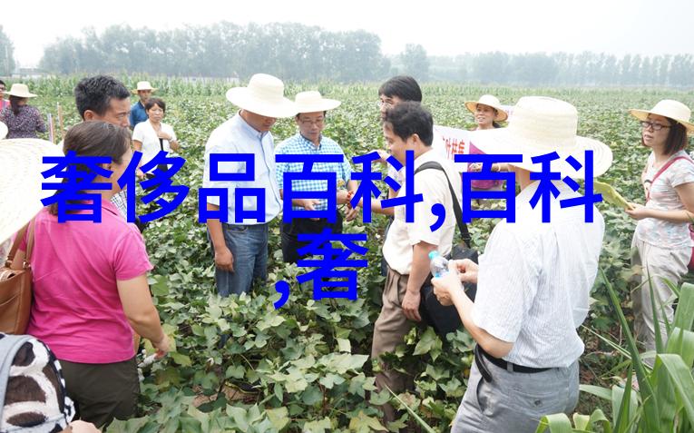 解锁香水秘密毒药香水热门问答让你成为香水专家