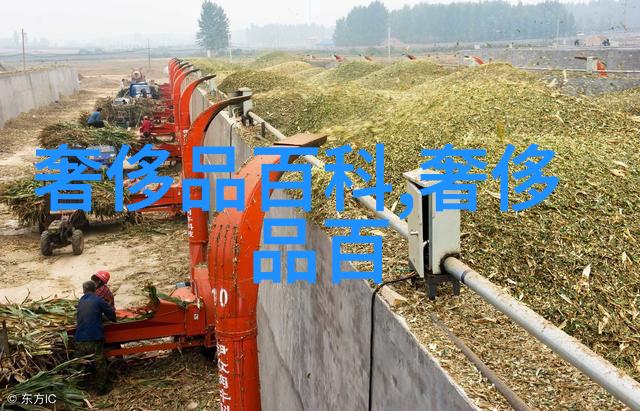 姐姐5免费完整高清电视我是怎么找到姐姐5的高清版免费观看方式的