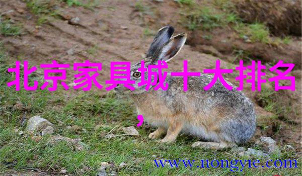 蔚蓝汹涌的逆潮