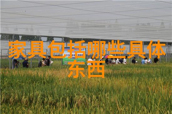 粉色Dior Caro小号新款成品网站是什么无论日常造型或晚宴派对轻松驾驭时尚风潮
