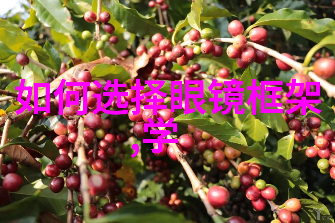 607080老太太的AW奇遇跨越时空的温暖故事