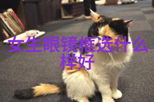 家喻户晓的日常对话母亲与子的温馨对话录