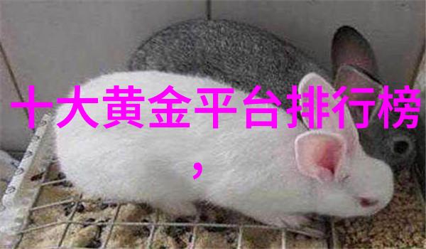 驾临修真界我是怎么一个天才