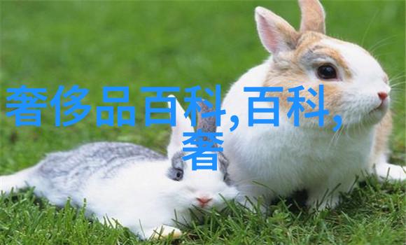 2022年扎辫子风潮时尚界的新宠儿