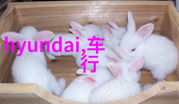 FRXXEE中国护士中国风格的专业护理服务