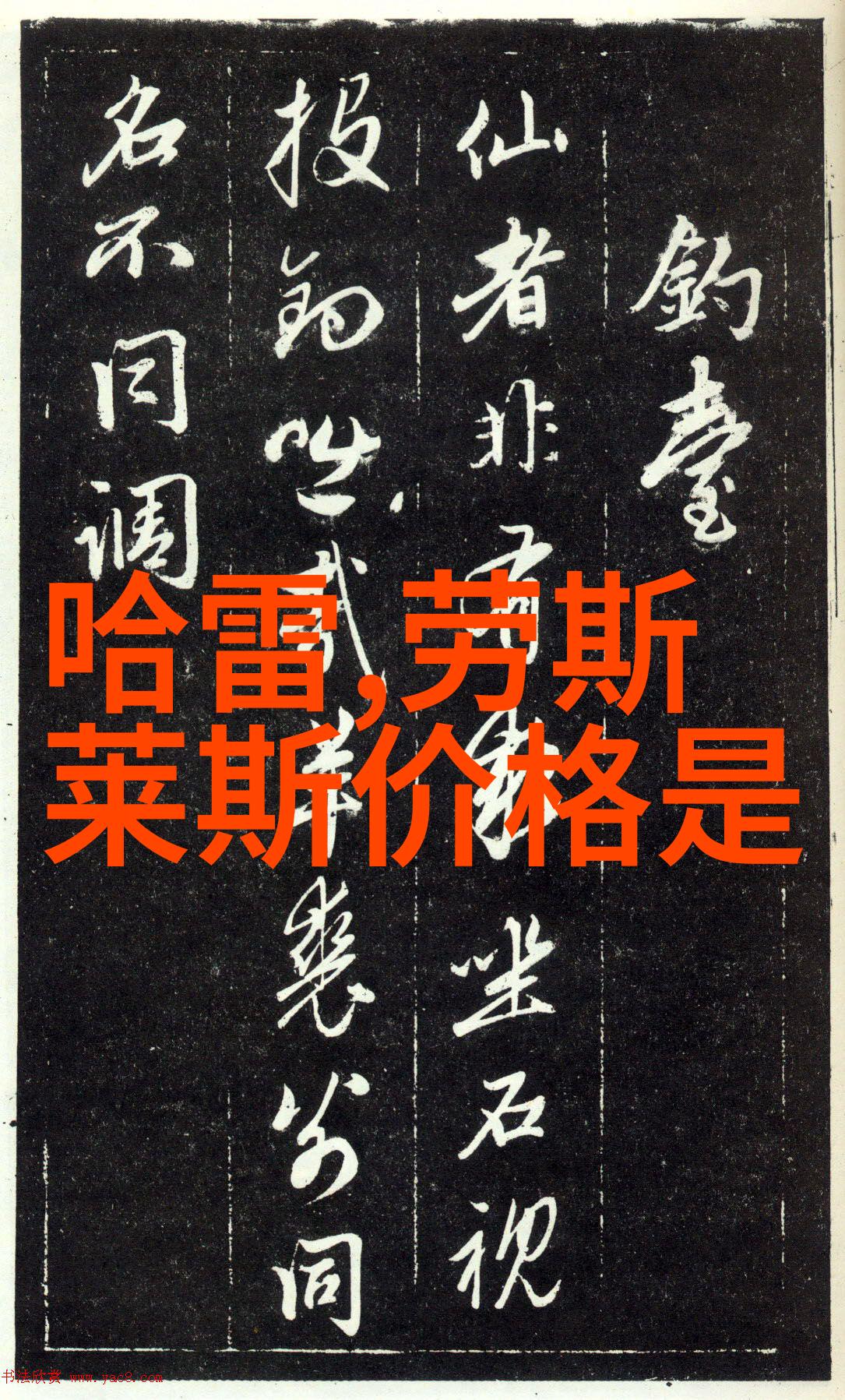数字革命编程之光照亮未来世界