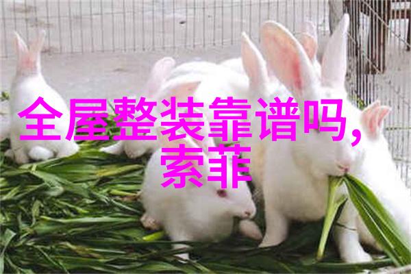狐狸精的秘密九尾之谜