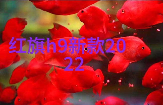 手表前十名排行榜保值不等于投资腕表材质是关键吗