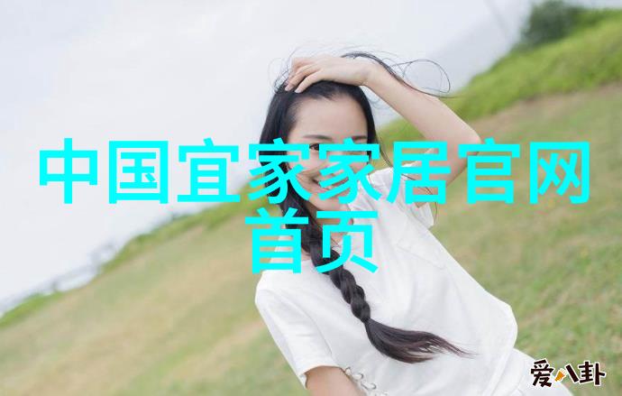 中长发编发图解100种美丽头发造型指南