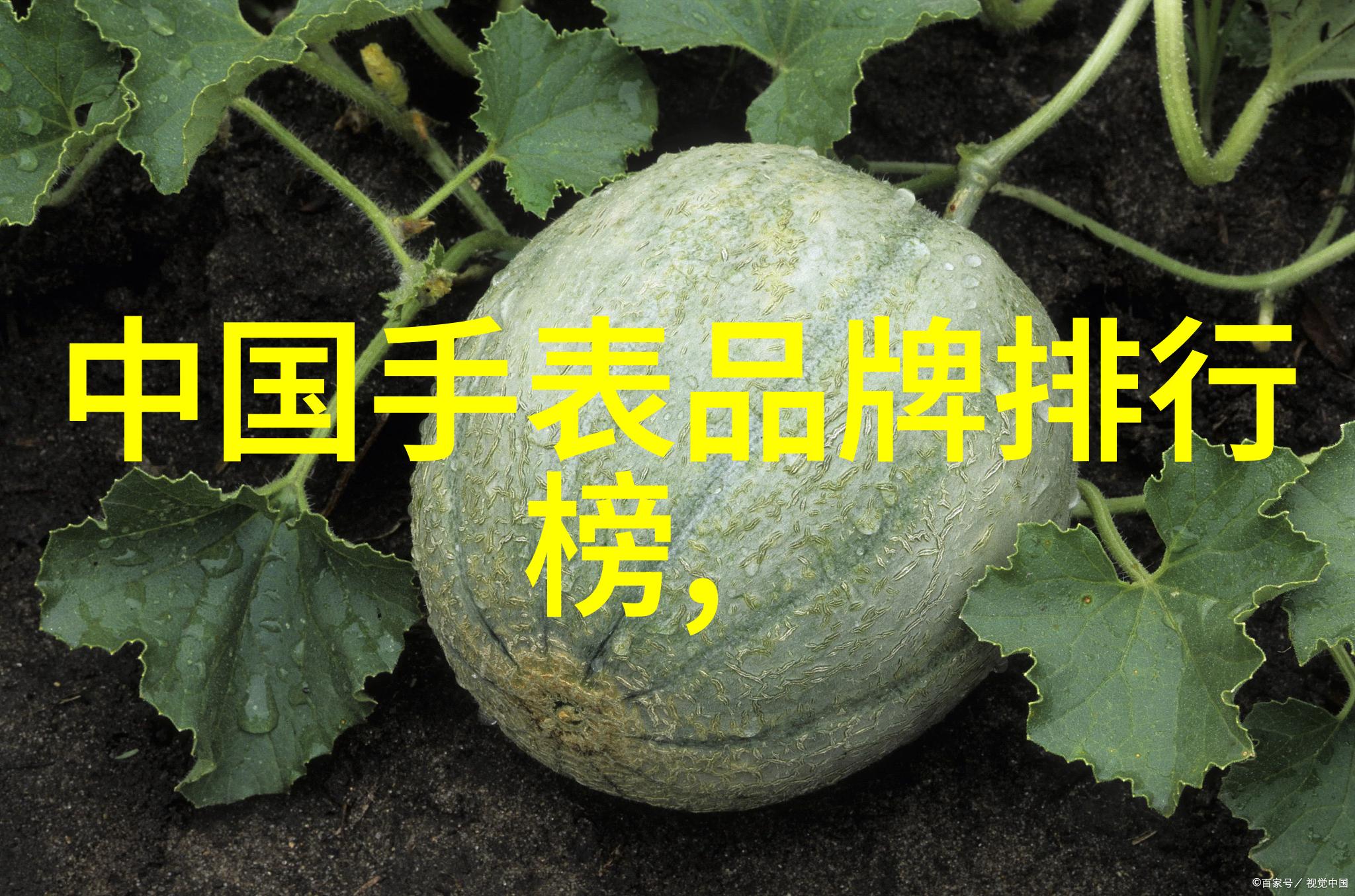 当你把手中的老旧手机带到店里时营业员会根据这些参数来决定每千克支付多少金钱是不是真的这样做了呢