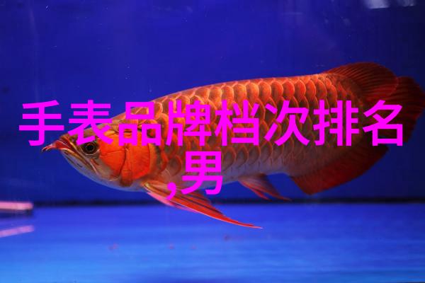 六福珠宝-璀璨星辉六福珠宝的传统与现代之美