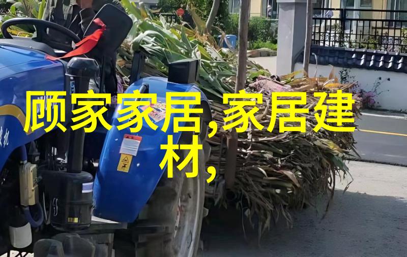主题我是如何在中国发现sikixix的
