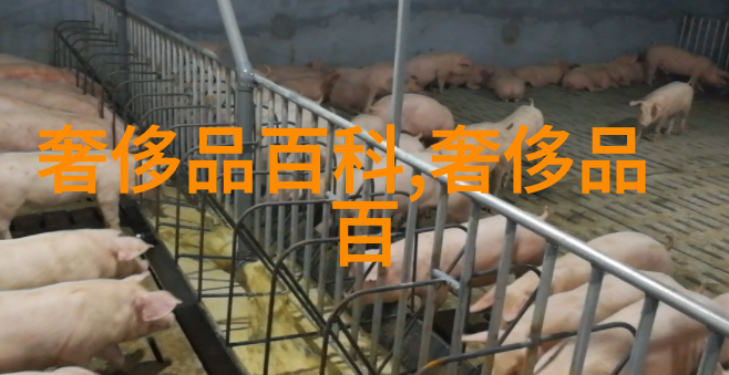 技压群芳txt-绝技无双群英尽显的竞技盛宴