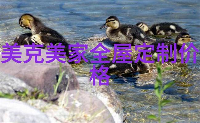 夏日祭典肩并肩看花火动漫世界无限延伸