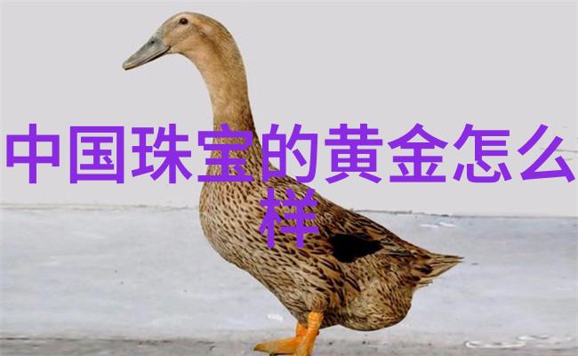 黑客帝国揭秘steal下载背后的网络盗贼