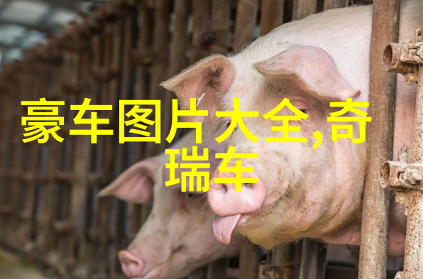 学校里的传奇人物麻麻的教室奇遇
