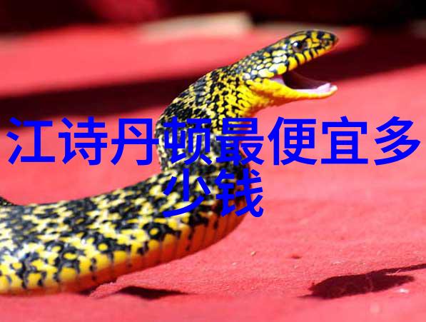 美发剪头的智慧解锁创造时尚的秘密